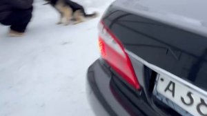 VID_20260222_203723_261.mp4.mov