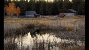 ДЕРЕВНЯ, ЛЕС, БОЛОТО. УЖАСЫ ВНЕ ГОРОДСКИХ СТЕН. Сборник страшных историй