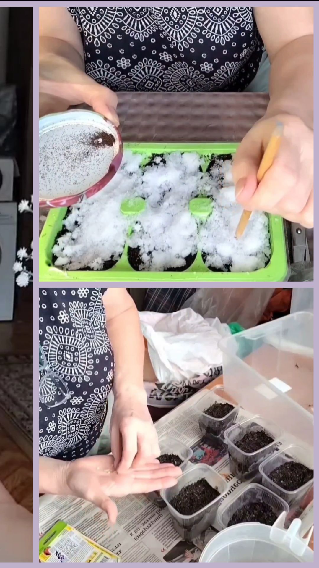 Доживём до весны урааа. Сею перцы и цветы.