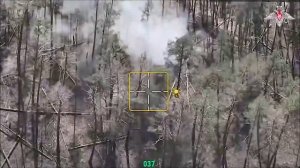 Господа офицеры ( cover )