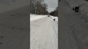 Снежная зима 22 февраля 2026