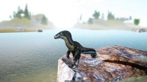 оцените скин