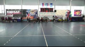 Северные барсы-Арктика