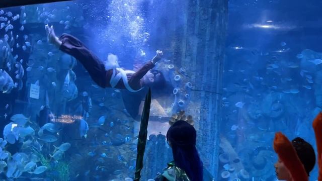 Vinpearl, Шоу русалок, Нячанг, Вьетнам, Февраль 2026 г. смотреть онлайн