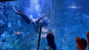 Vinpearl, Шоу русалок, Нячанг, Вьетнам, Февраль 2026 г.