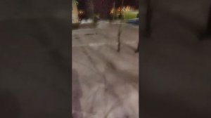 гуляем с Вестой