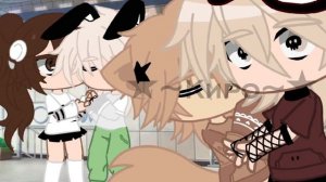 Вот так нужно знакомится🤟