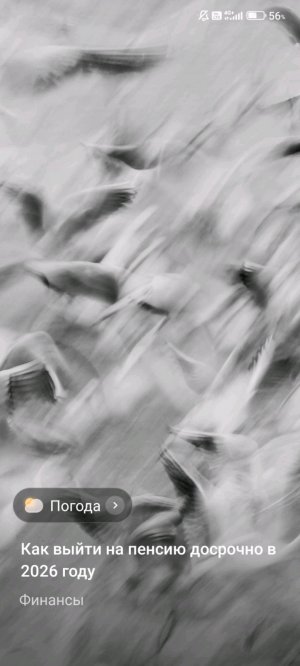 игры 🏐🏐 
да