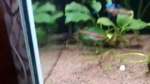 АкваТерра | Факты!!!