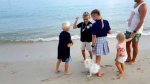 Наша жизнь на Самуи☀️Таиланд 🏝