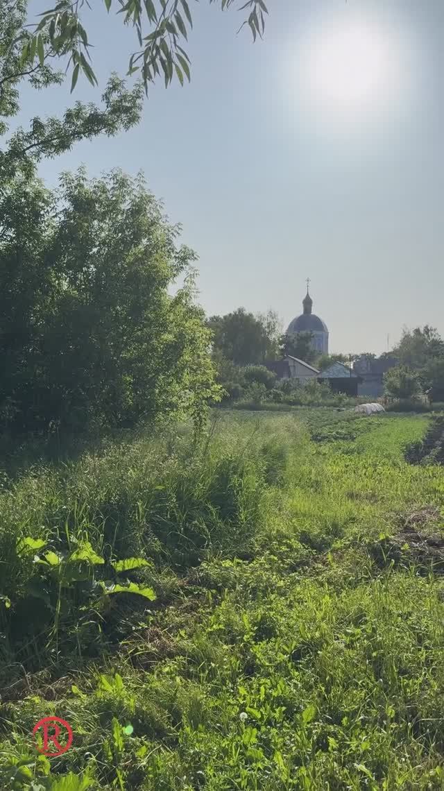 Между тишиной и шумом... 🌤️