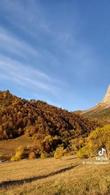 юмор из жизни смотреть онлайн