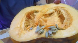 ГОТОВИМСЯ К ПОСЕВНОЙ.ОВОЩИ ИЗ ПОГРЕБА.ТЫКВА ГОЛОСЕМЯННАЯ ДАНАЯ