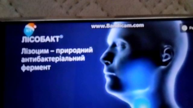 лизобакт 10