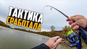 Судак и Окуни, Большая Рыбалка на Москве Реке. Январь 2026 Лучшая Русская Рыбалка Онлайн