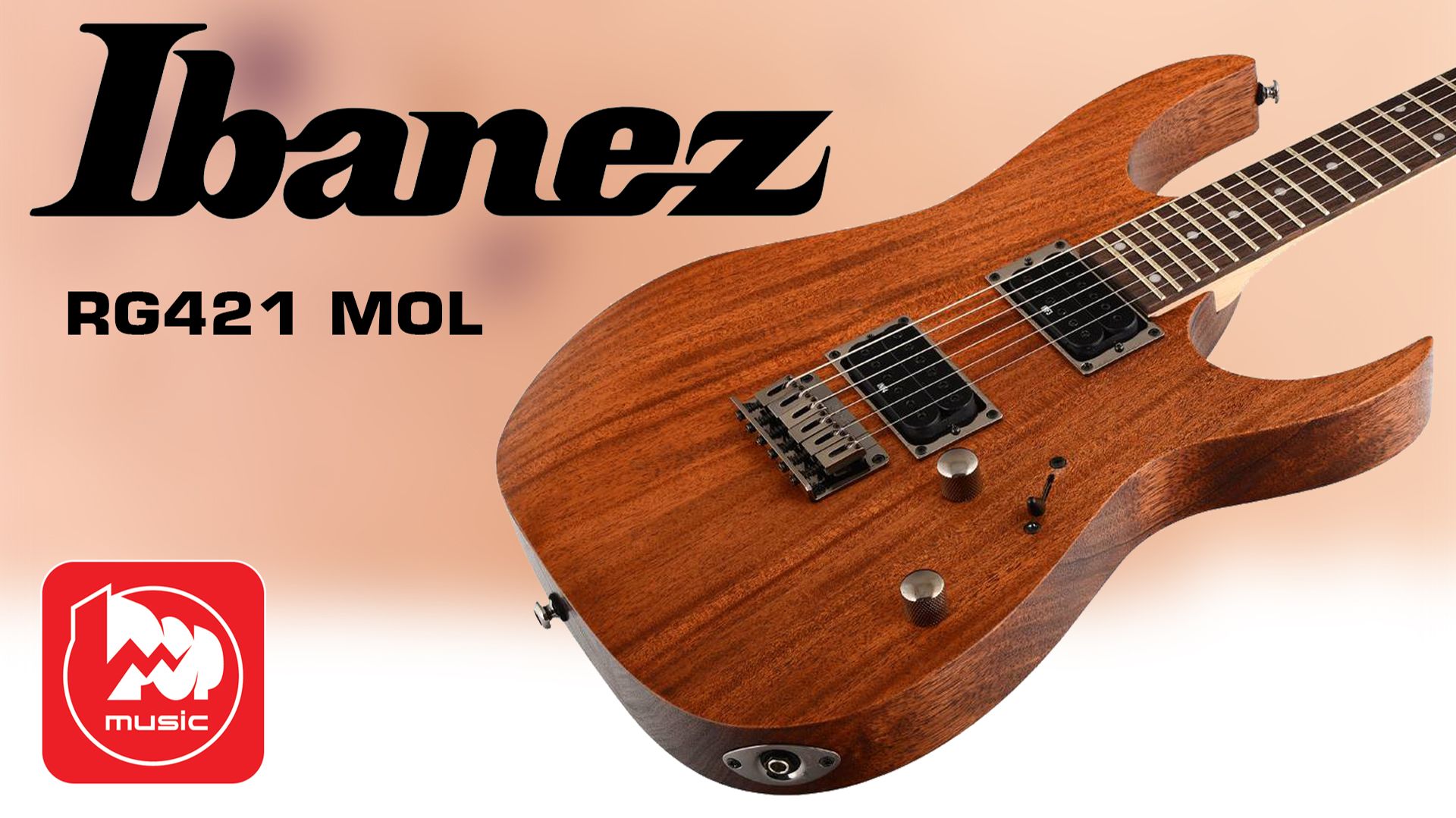 Электрогитара IBANEZ RG421