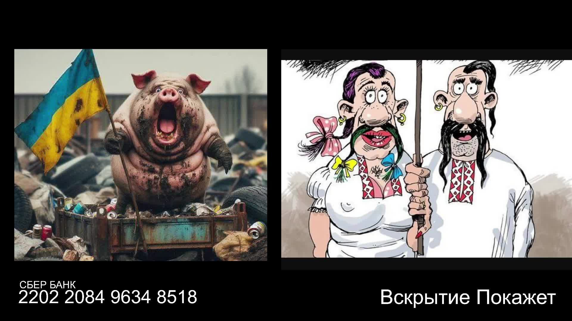 Стрим по сумеркам смотреть онлайн