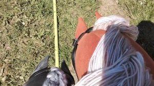 ХОББИХОРСИНГ С ДВОЮРОДНОЙ СЕСТРОЙ!