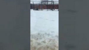 23022026г Шерханв Минске мокрый снег [get.gt]