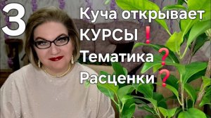 3 часть. Куча открывает КУРСЫ😲❗️Тематика❓️Расценки❓️