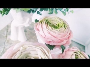 ЗЕФИРНЫЙ РАНУНКУЛЮС fLora  в прямом эфире!