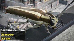 Что, Если Бы Насекомые Были В 1000 Раз Крупнее? | Гигантские насекомые в 3D