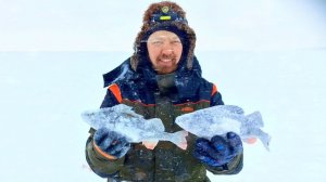 ИЩЕМ ОКУНЯ В МОРОЗ И ПУРГУ || Зимняя рыбалка на окуня #зимняярыбалка #FishingHolidays #окунь