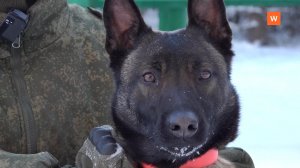 Итоговая программа «Город» от 22 февраля 2026 года