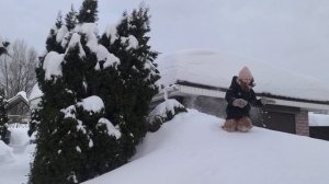 Отметили праздник в семейном кругу🥞Жизнь в деревне 🏡