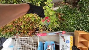 БЕСПЛАТНО ЧАСЫ, КРЕМ, ФИГУРКИ, ОБУВЬ, МЕБЕЛЬ, ТЕХНИКА(Me & Australia)