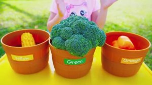 Magic Colored fruits and vegetables grow up by Like Nastya