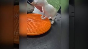 Видео от МЭН - Мне Это Нравится