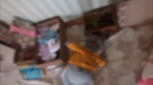 Басик и Василиса нарушают правила