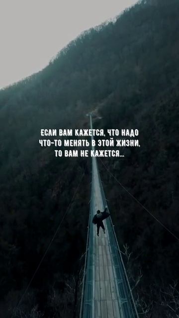 #1088 Цитата дня. Мотивация.