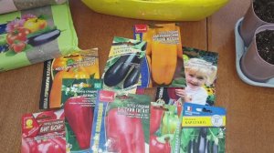 Перец, баклажаны. Уникальная добавка в грунт для здоровой рассады.