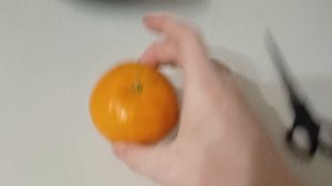 Как зделать так чтобы коты не трогали цветы