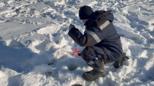 Онлайн с водоема