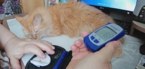 Утренний сахар крови, давление. Вчера на ужин были блины, что покажет глюкометр?