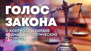 Контроль и охрана водных биологических ресурсов в Херсонской области. "Голос закона"