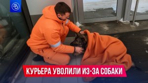 В соцсетях отменяют «Додо Пиццу».