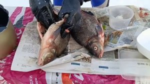 ГОТОВИМ КОПЧЁНОГО ЛЕЩА!