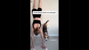 Видео от МЯУтаверс – как метавселенная, но с котами