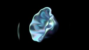 Частное гестапо (1)