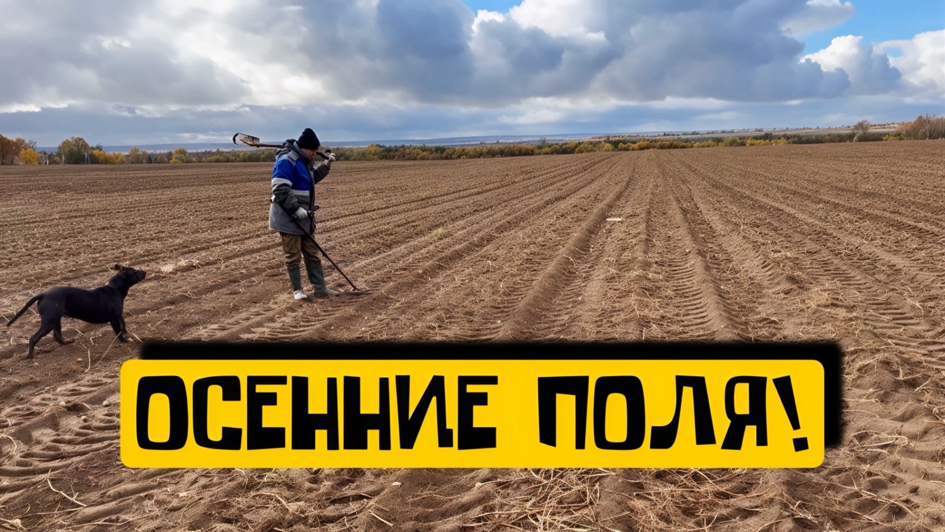 ОСЕННИЕ НАХОДКИ! смотреть онлайн