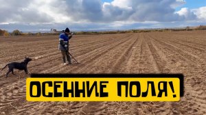 ОСЕННИЕ НАХОДКИ!