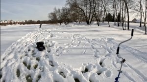 Когда много воды. Ловля на безмотылку со льда.