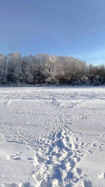 Русская зима. Ярославль. Река Которосль.