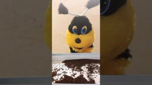 5_Кофейный экранчик