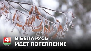 В Беларусь идет потепление