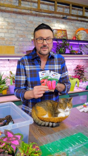 Новинки. Сладкий перец